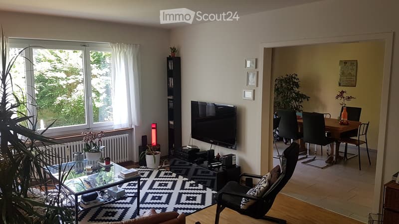 Living room with a glass coffee table, sofa, chair, television, bookshelf, and plants. The room has large windows with white curtains and a view of greenery outside.