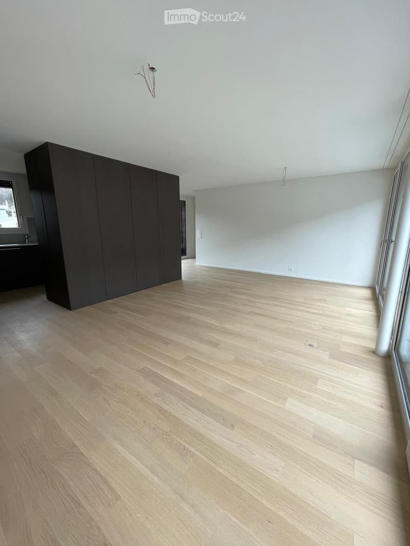 Empty room with light wooden flooring, white walls, and a dark cabinet in the corner. No furniture or equipment is present.