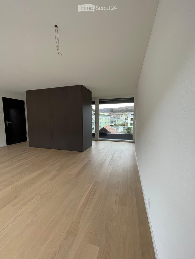 Empty room with light wooden flooring, white walls, a large window with a view, and a dark-colored cabinet.