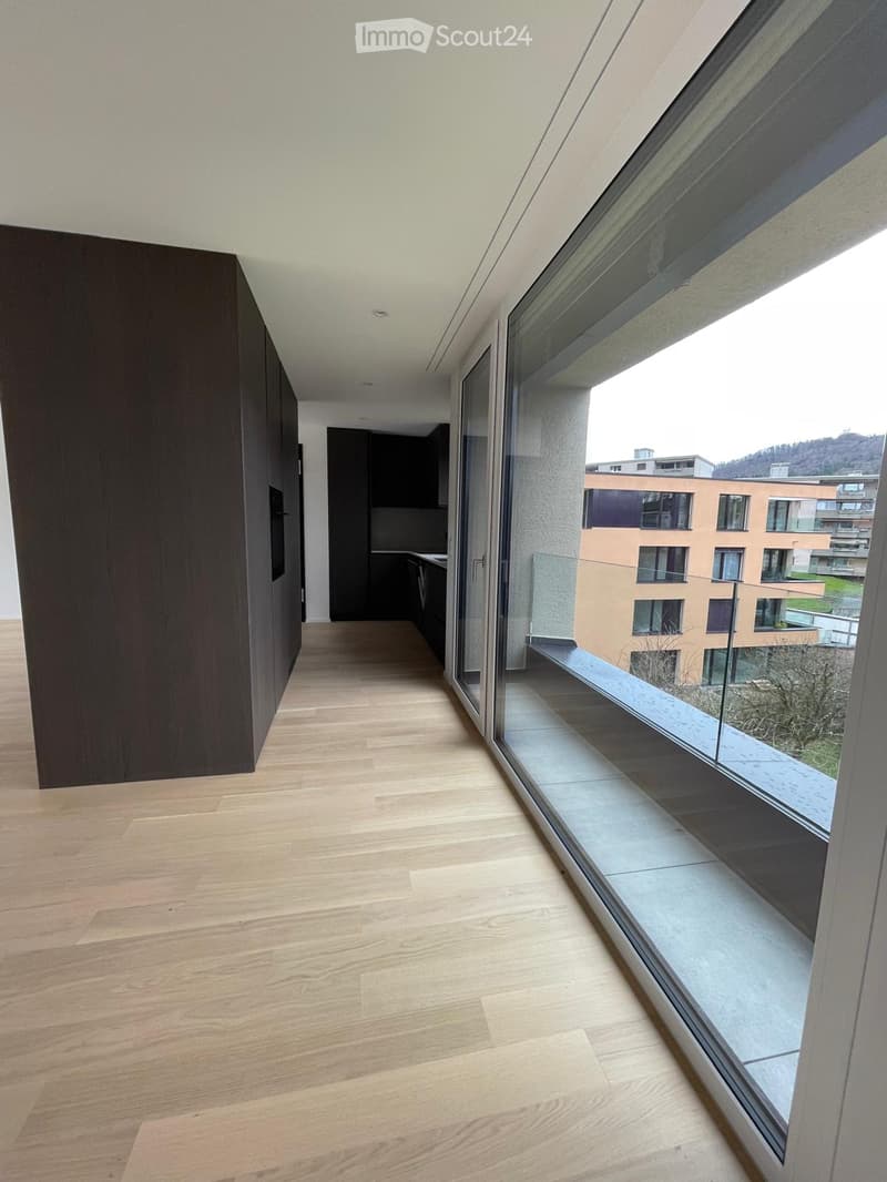 Modern hallway with light wooden flooring, large glass wall leading to a balcony, and dark wooden cabinetry on one side.