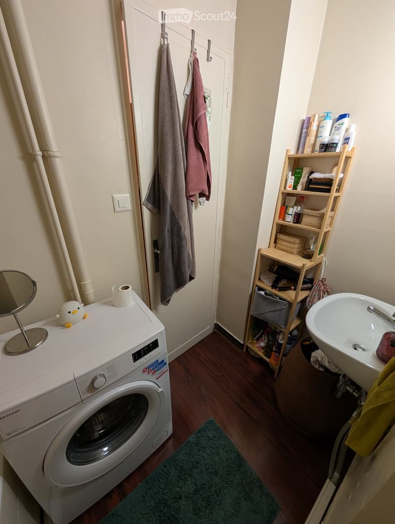 Bathroom with a washing machine, sink, mirror, shelf with toiletries, and towels hanging on a rack.