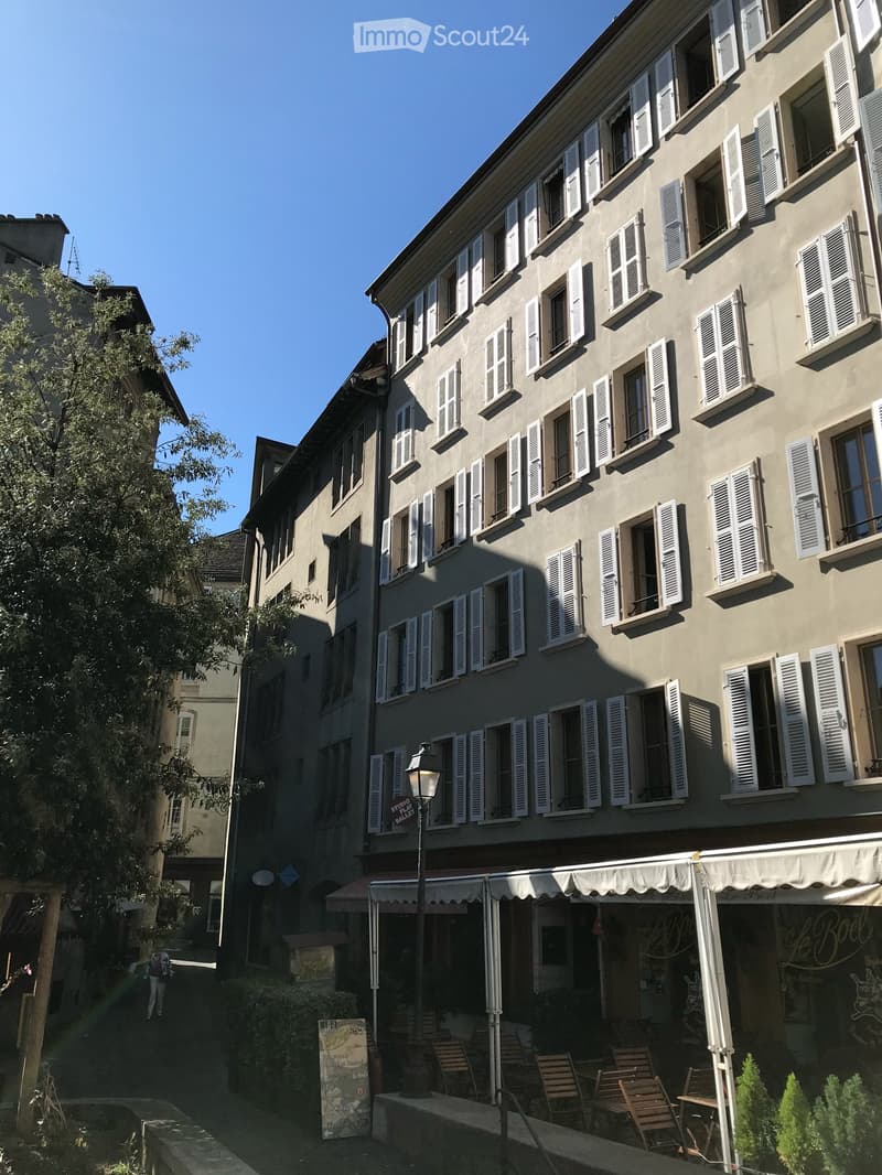 Charmant studio de 1.5 pièces au cœur de la vielle ville de Genève (4)