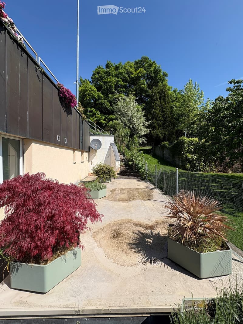 A modern outdoor area with a concrete pathway, potted plants, and a metal fence, surrounded by lush greenery and a modern building.