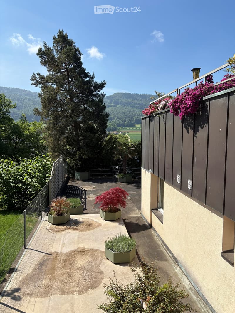 Balcony with potted plants, railing, and scenic view of trees and hills.