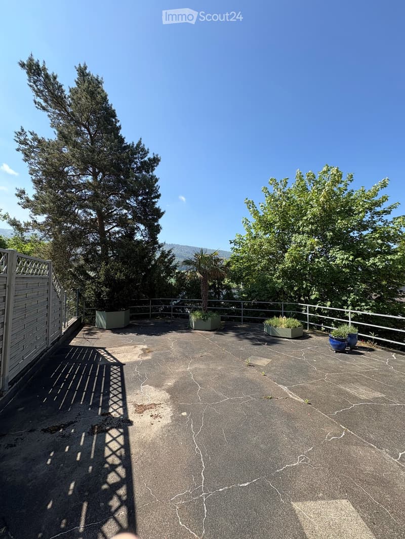 Roof terrace with concrete floor, metal railing, potted plants, and trees in the background.