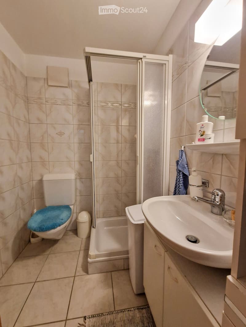 Bathroom with a toilet, sink, mirror, and a walk-in shower. The toilet has a blue seat cover, and a towel hangs on the side of the sink.