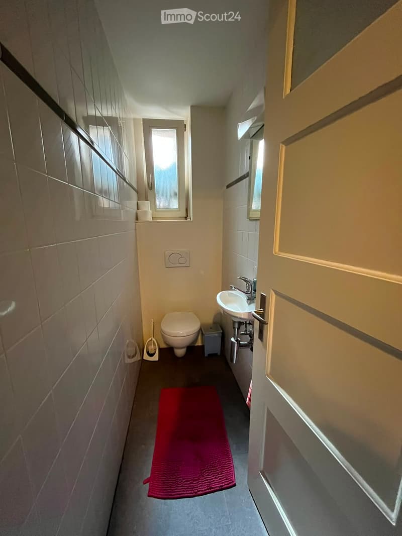Compact bathroom with a toilet, sink, and small window. Includes a red bath mat, toilet paper, and a mop.