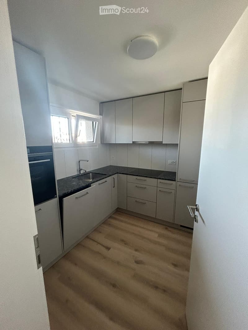 Empty kitchen with light grey cabinets, granite countertop, sink, and wooden flooring.