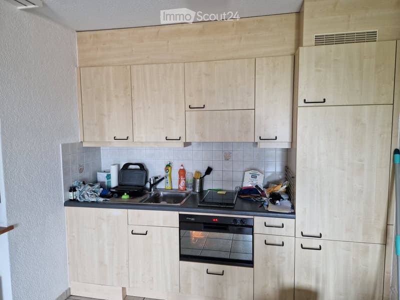 {"type": "Kitchen", "objects": ["sink", "faucet", "oven", "toaster", "fridge", "bottle", "oven mitt", "oven cleaner", "oven cleaner bottle", "oven cleaner bottle", "oven cleaner bottle", "oven cleaner bottle", "oven cleaner bottle", "oven cleaner bottle",