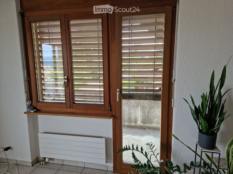 A small hallway or entryway with a large window with wooden blinds, a radiator below, a small shelf with a toy, and a potted plant on a stool.