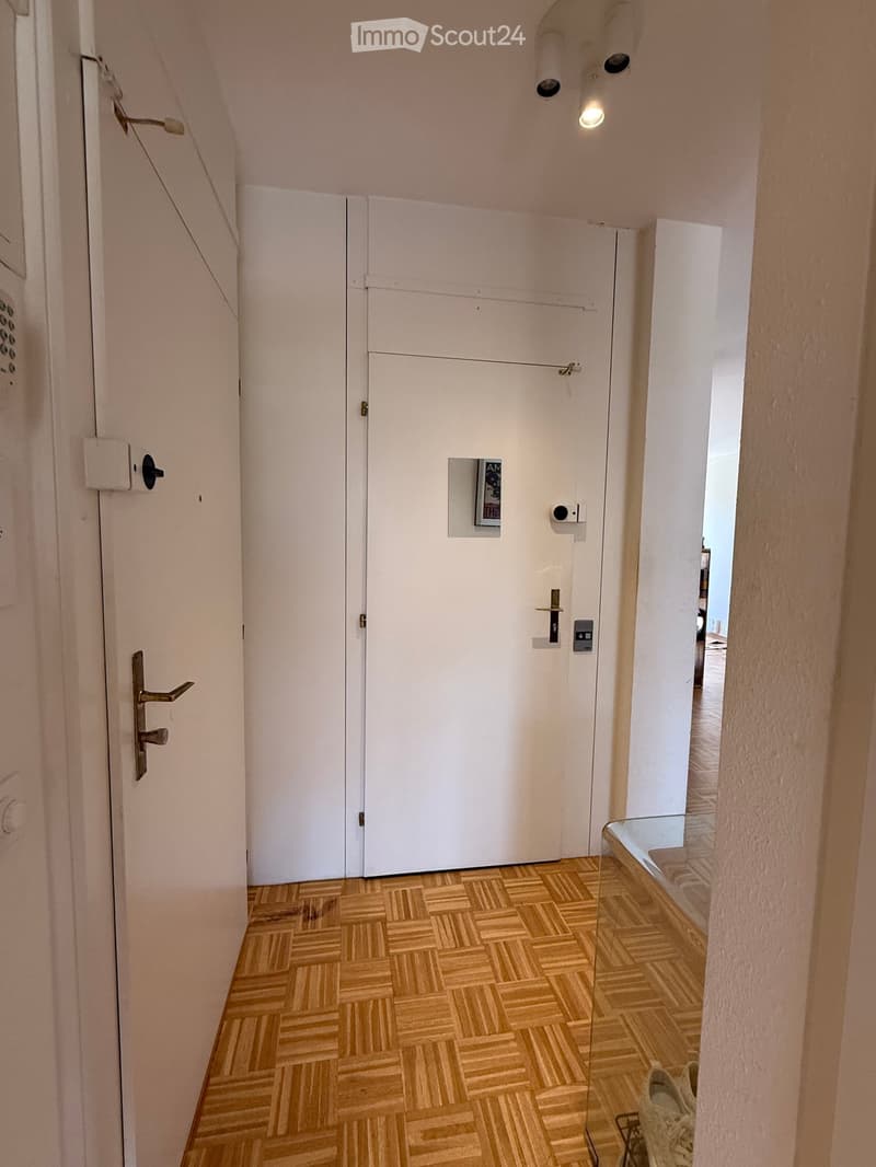 A narrow hallway with wooden herringbone flooring, white walls, and a closed white door at the end. A small framed picture hangs on the wall near the door, and a light fixture is mounted on the ceiling.