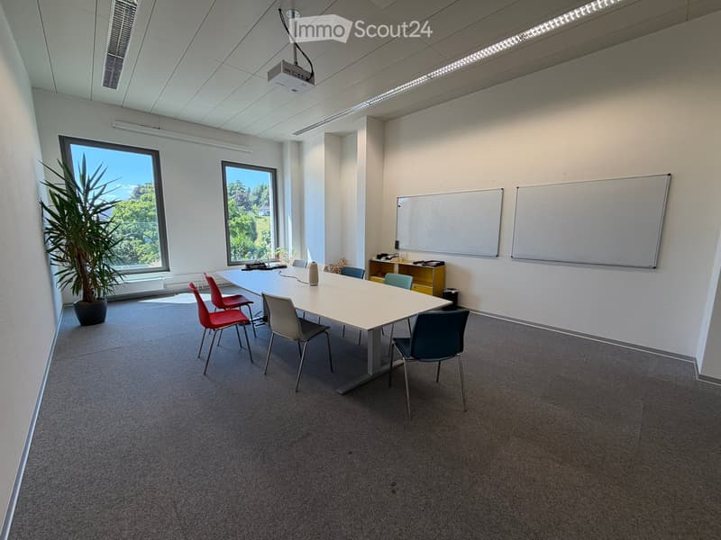 Bright conference room with a long white table, chairs, a projector screen, whiteboards, and a potted plant near the window.