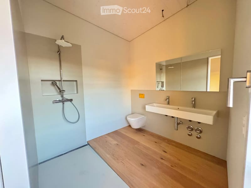 Modern bathroom with light-colored walls, wooden flooring, a toilet, a double sink, a large mirror, and a glass-enclosed shower area.
