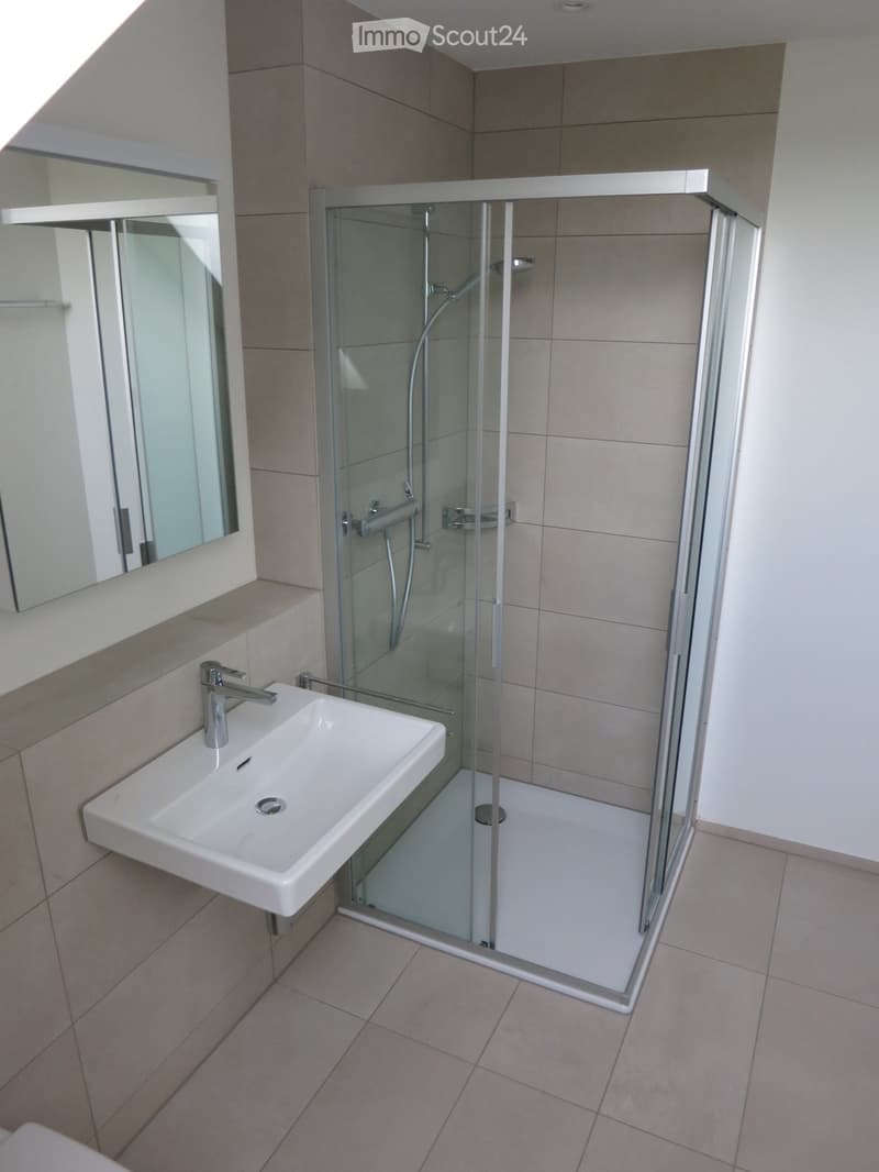Modern bathroom with a white sink, chrome faucet, large mirror, and a glass-enclosed shower stall.