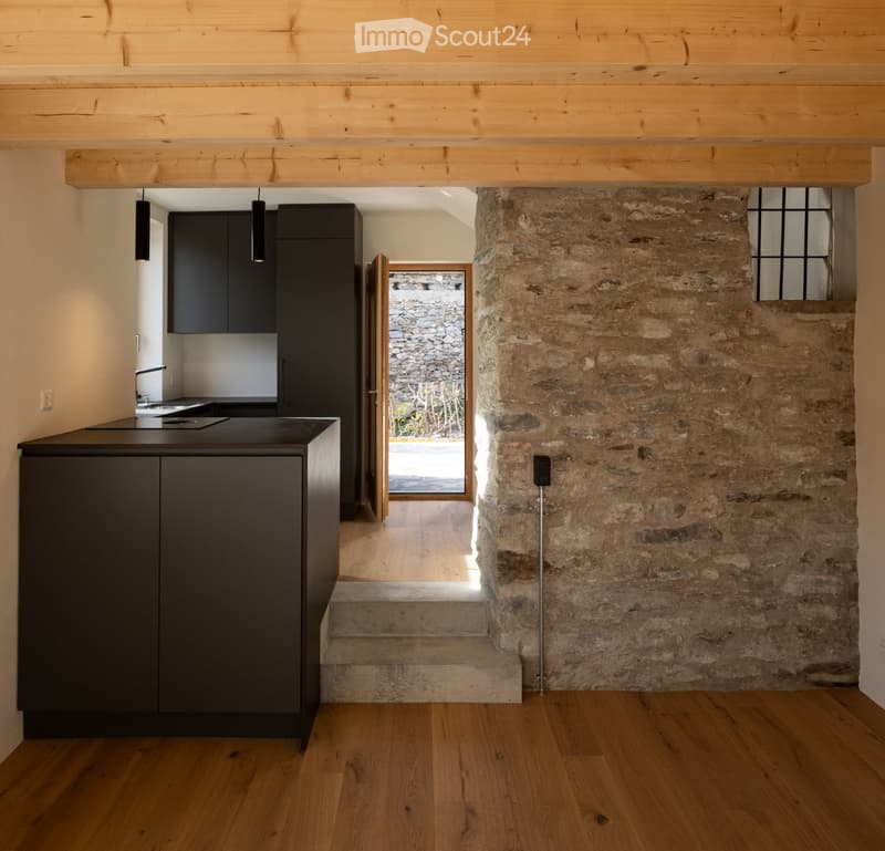 modern kitchen with black cabinets, wooden floor, stone wall, open door leading to outdoor area
