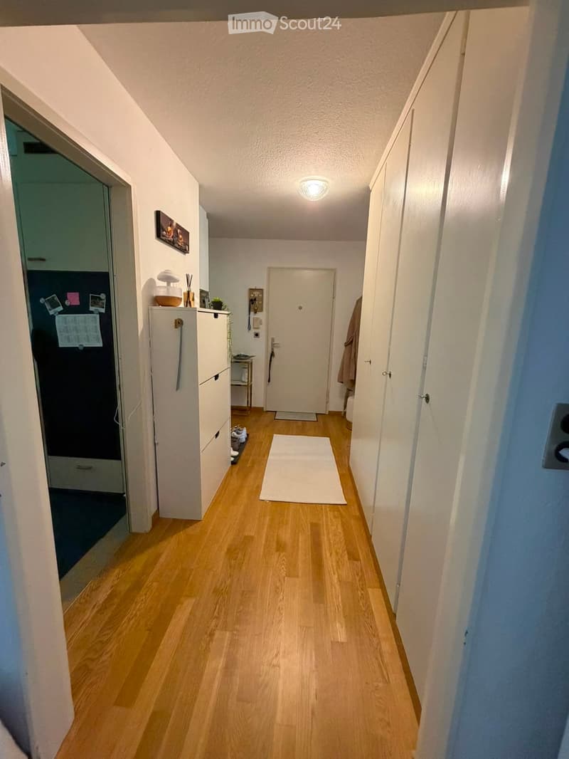 A narrow hallway with wooden flooring, white walls, and a ceiling light. A white rug is placed in the center, and a small cabinet with drawers is visible on the left side.