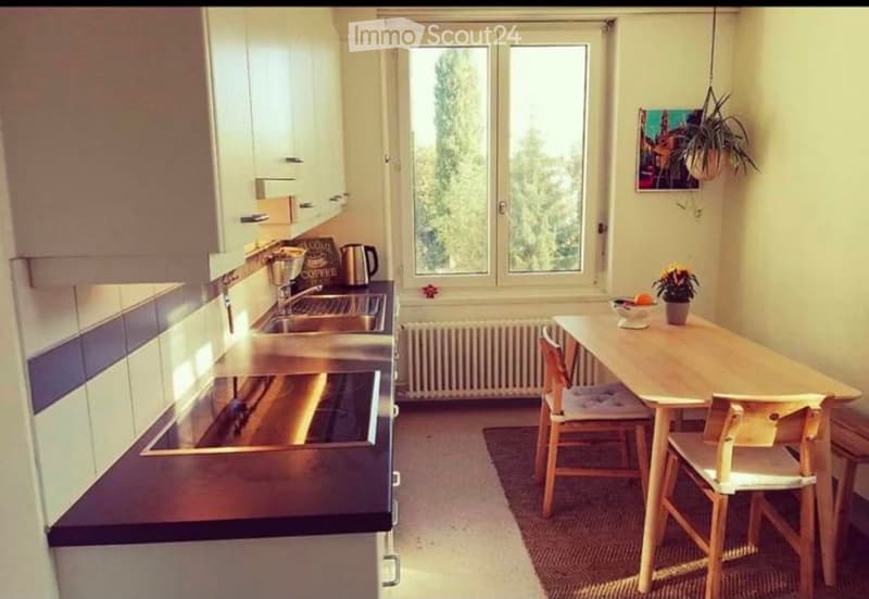Bright kitchen with white cabinets, stainless steel appliances, a wooden dining table with chairs, and a view of greenery through large windows.