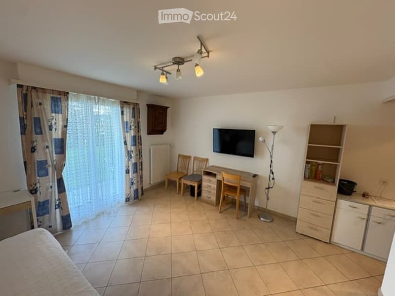 A furnished room with a bed, desk, chair, television, curtain, radiator, cabinet, and floor lamp.