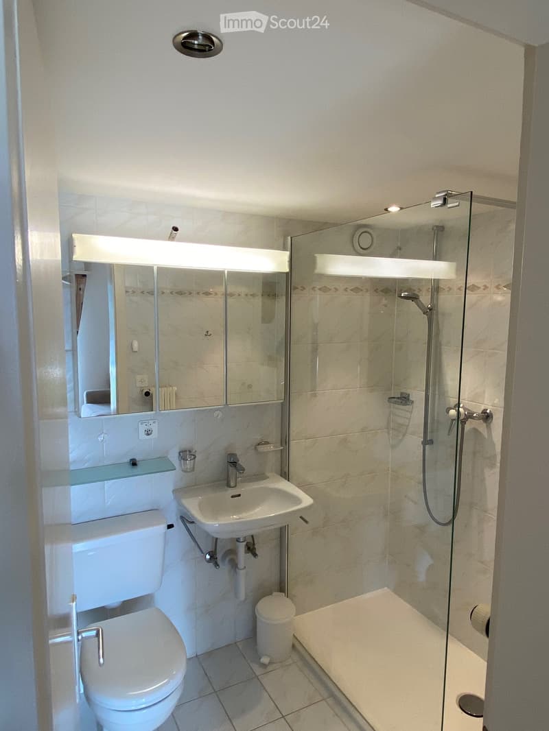 Modern bathroom with a toilet, sink, mirror, and glass-enclosed shower. Features include a built-in shelf above the sink and a small trash bin.