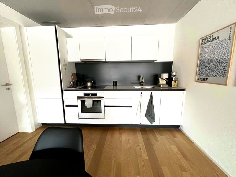 Modern kitchen with white cabinets, stainless steel appliances, wooden flooring, and a framed artwork on the wall.
