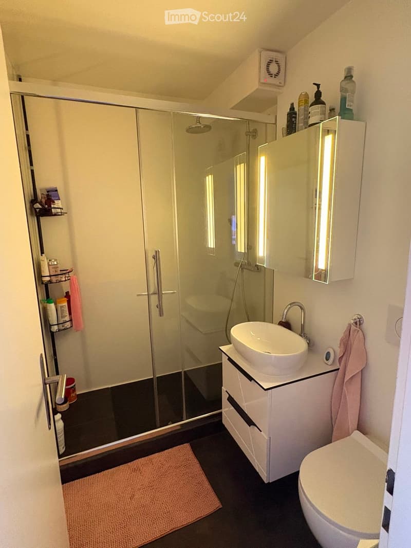 Modern bathroom with a white sink, toilet, glass-enclosed shower, and a mirrored cabinet. Includes a towel and various bathroom accessories on shelves.