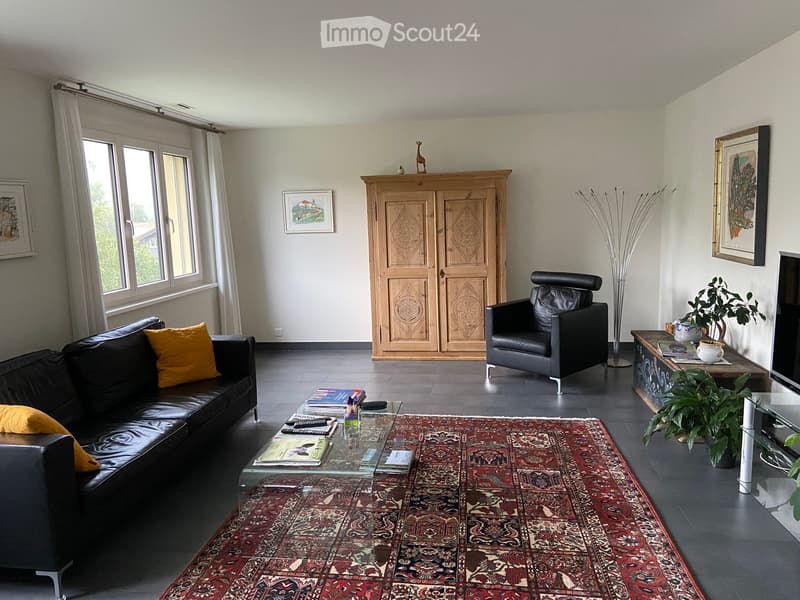 Modern living room with a black leather sofa, armchair, coffee table, and a large area rug. Features large windows with white curtains, a wooden cabinet, and decorative plants.