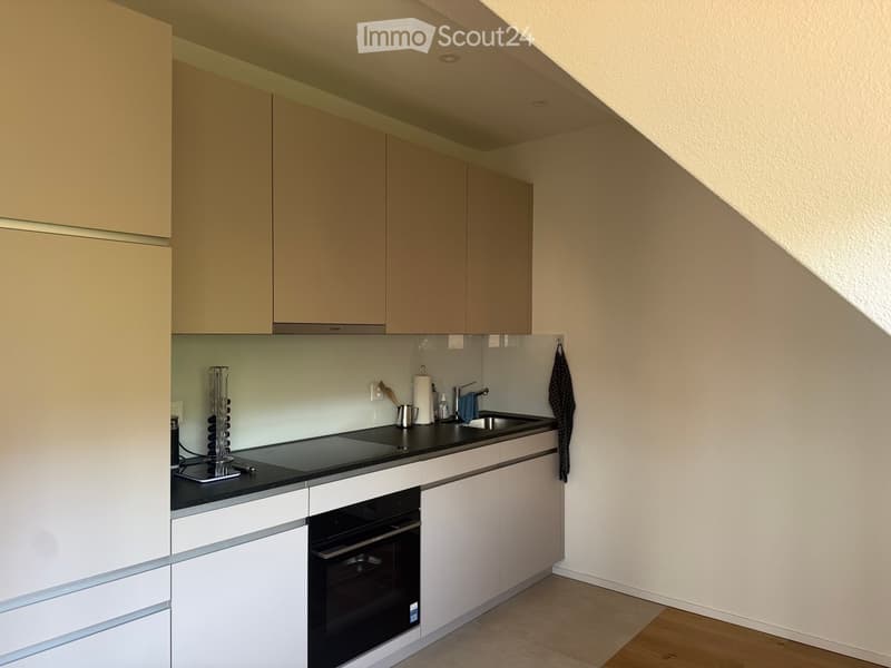 Modern kitchen with white cabinets, black countertop, built-in oven, and sink. Features include a sleek design with a slanted ceiling and wooden flooring.