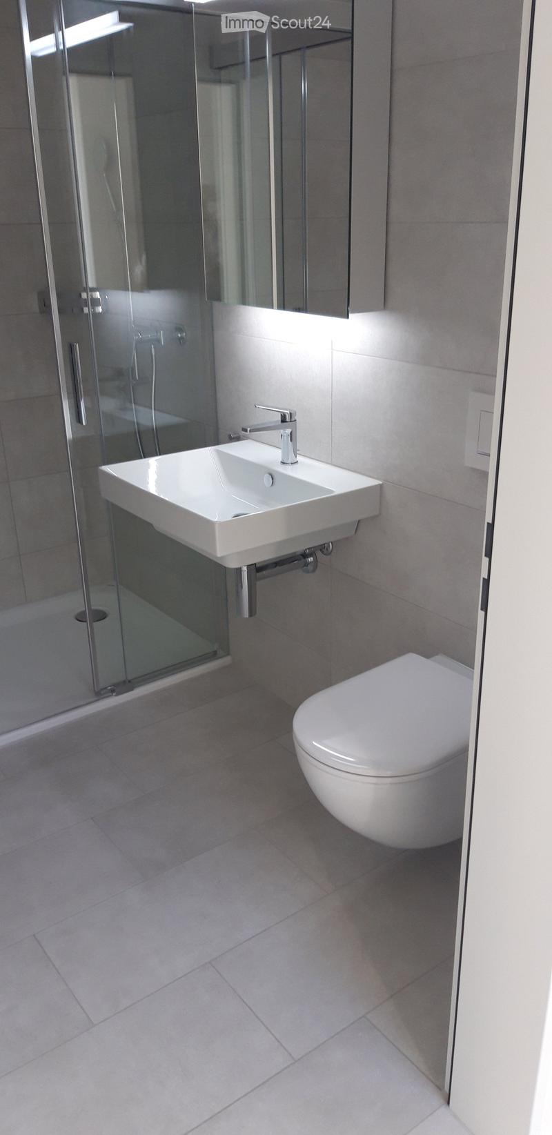 Modern bathroom with a white sink, chrome faucet, toilet, glass-enclosed shower stall, and a mirror above the sink.