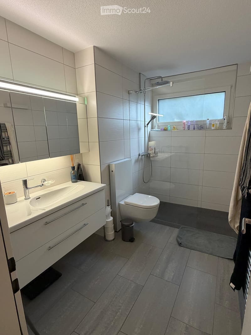Modern bathroom with a large sink, mirror, toilet, and shower area. Features include a built-in cabinet, a towel rack, and a window above the shower.