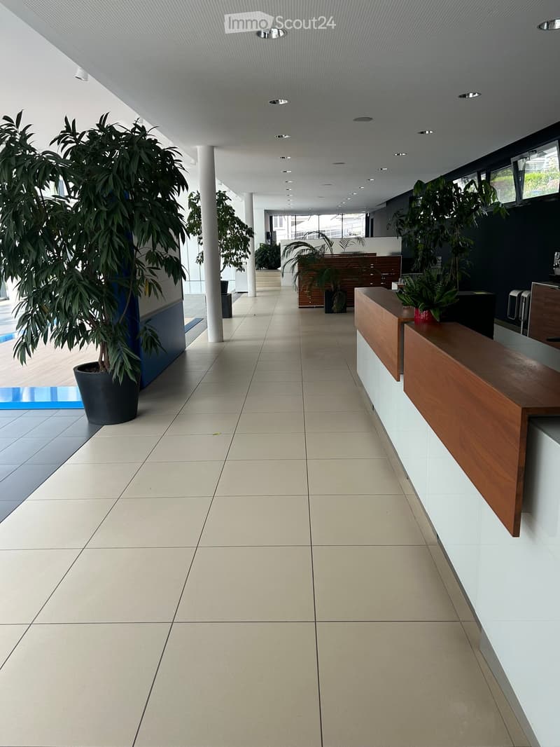 Modern hallway with tiled floor, white walls, recessed lighting, and potted plants along the sides.