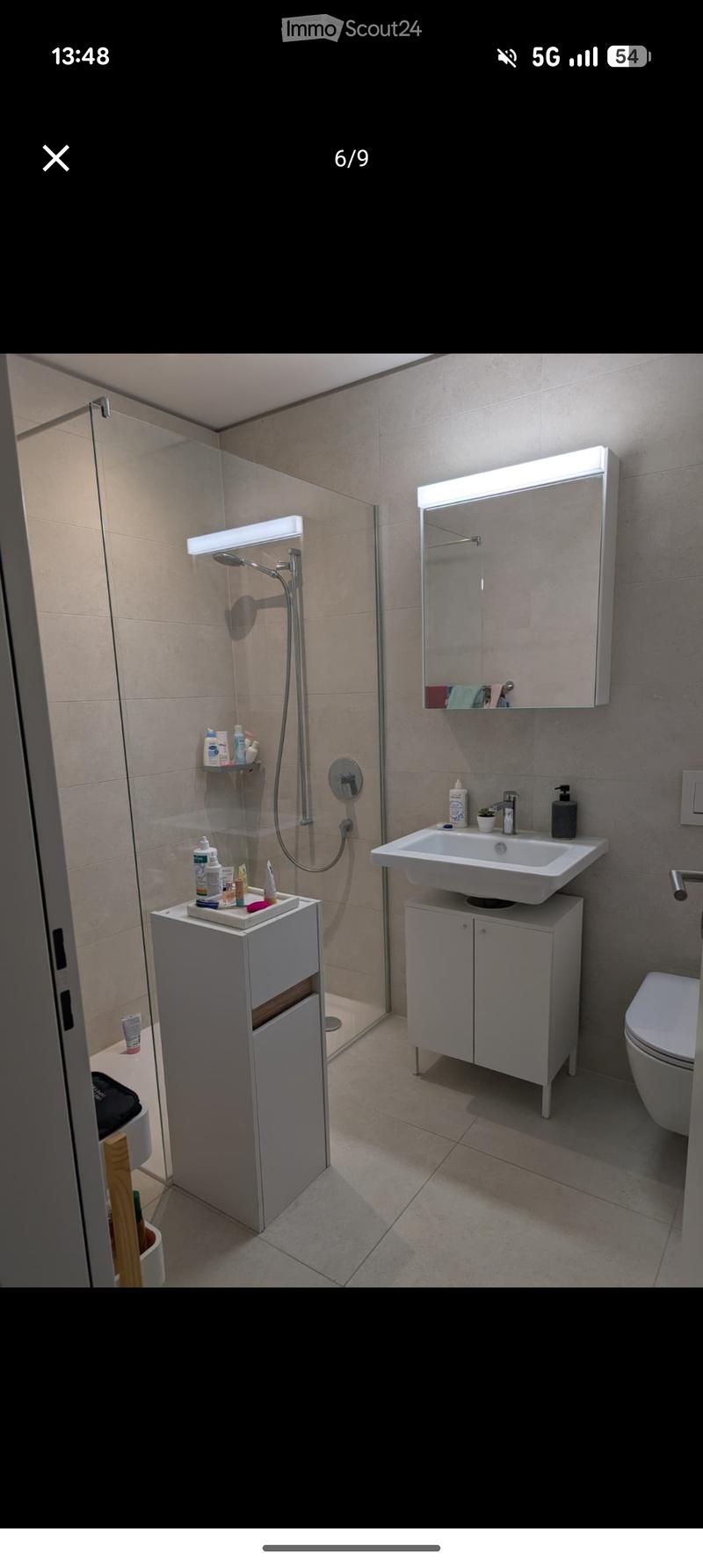 Modern bathroom with a white sink, mirror, toilet, and shower area. Includes built-in cabinets, a shower shelf, and various toiletries.