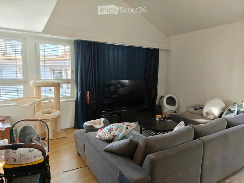A cozy living room with a grey sofa, coffee table, cat tree, and cat bed. The room features large windows with dark curtains and a television mounted on the wall. A grey cat is visible near the cat tree.