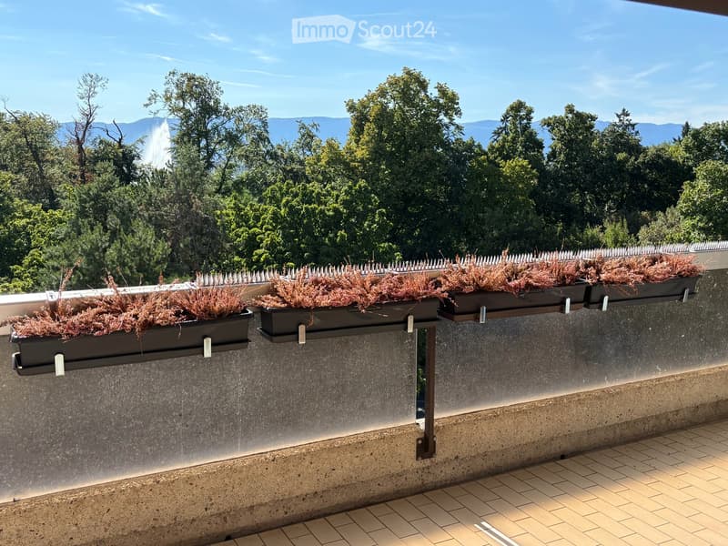 Spacious 4.5-Room Apartment with Balcony and Stunning Views facing Parc La Grange (1)