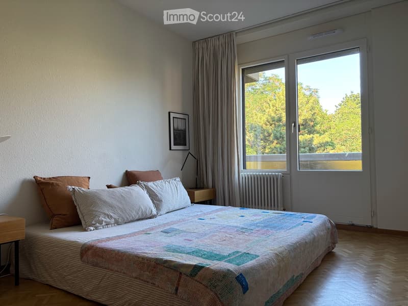 Spacious 4.5-Room Apartment with Balcony and Stunning Views facing Parc La Grange (4)