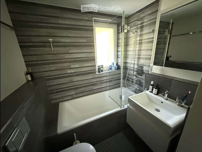 Modern bathroom with dark grey striped tiles, a bathtub, a sink, a toilet, and a glass-enclosed shower area. The sink has a modern faucet and a mirror above it. Various toiletries are placed on the windowsill and sink counter.