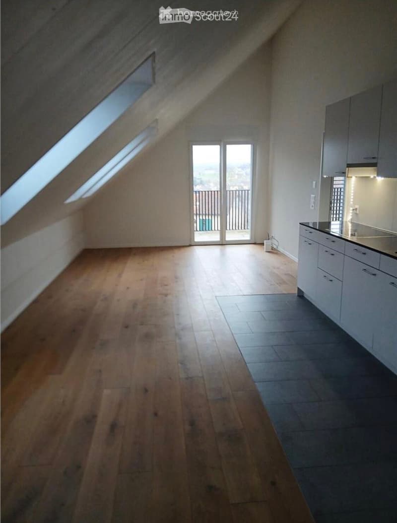 An unfurnished attic space with wooden flooring, white kitchen cabinets, and a large skylight window. The room features a sliding glass door leading to a balcony.
