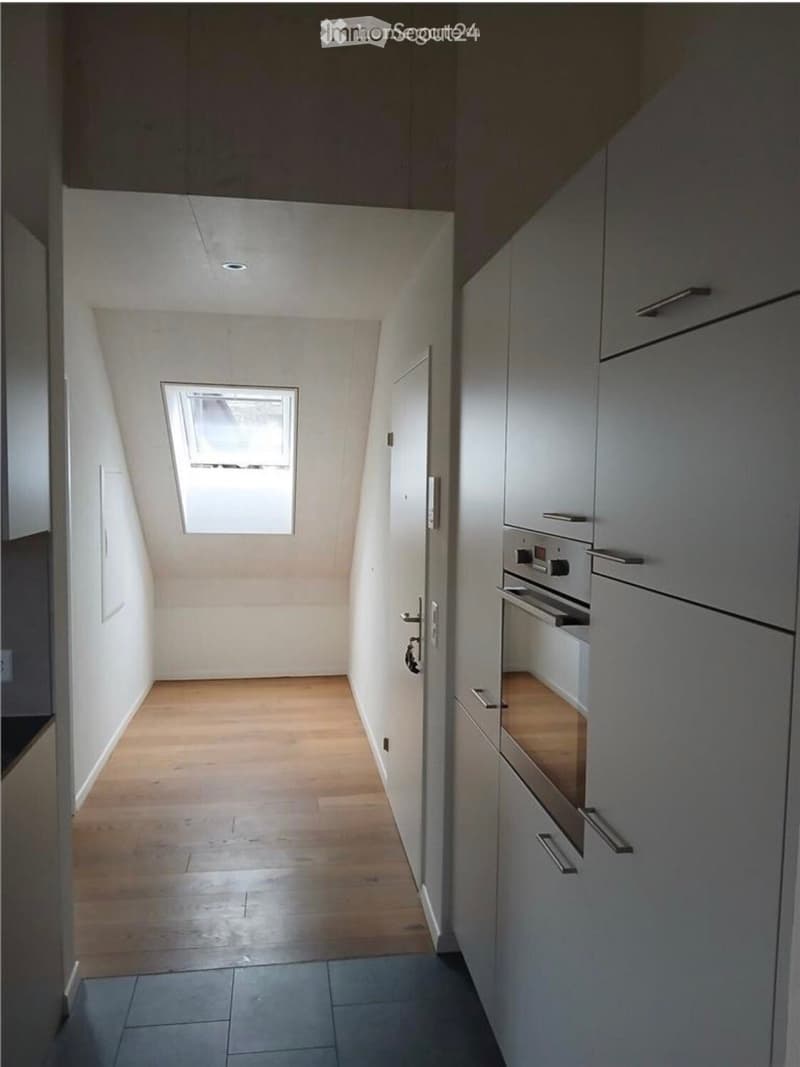 Bright, narrow hallway with wooden flooring, white walls, and a skylight window at the far end. A door leads to another room, and built-in cabinets line one side.