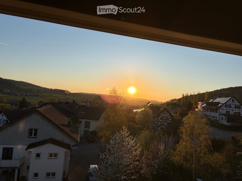 Residential neighborhood with houses, trees, and a sunset view.