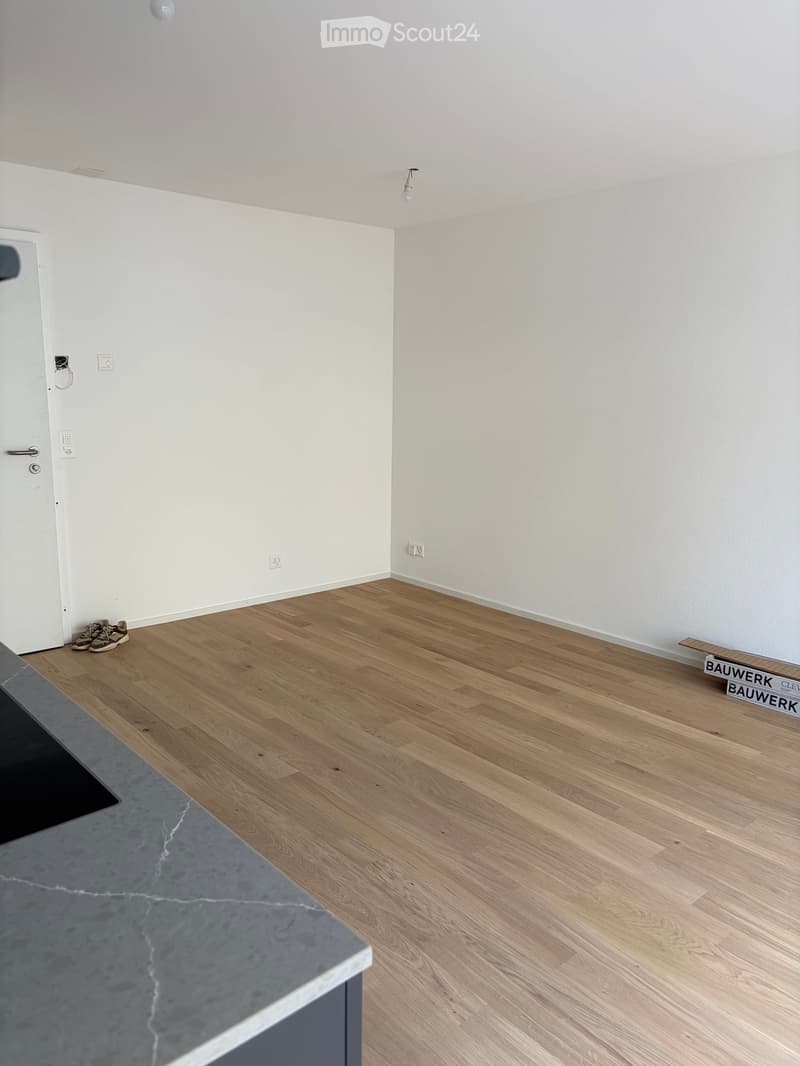 Empty room with light wooden flooring, white walls, and a grey countertop visible on the left side.