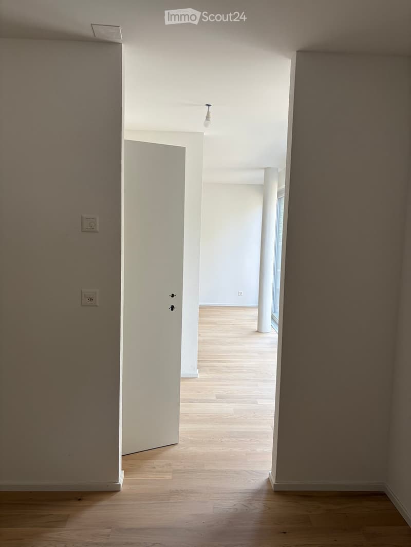 Empty hallway with wooden flooring, white walls, and a single light fixture hanging from the ceiling. The hallway leads to an open space with a large window allowing natural light to enter.