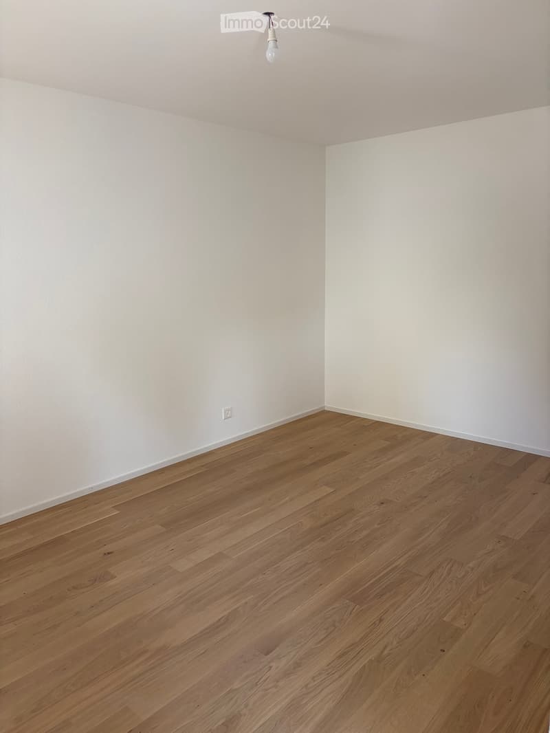 Empty room with light wooden flooring and white walls, featuring a single ceiling light fixture and an electrical outlet on the wall.