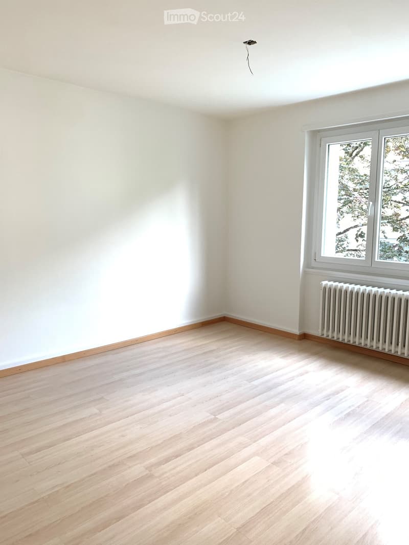 Empty room with light wooden flooring, white walls, and a single window with a radiator below it.