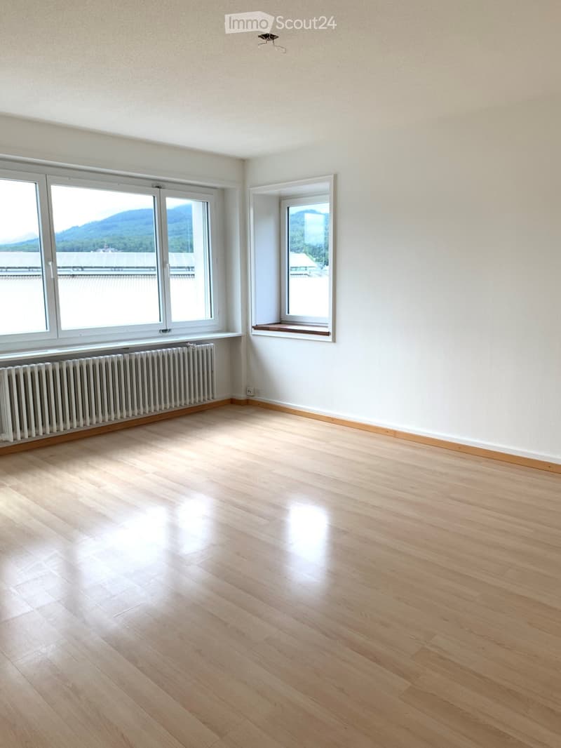 Empty room with light wooden flooring, white walls, large windows offering a scenic mountain view, and a radiator under one window.