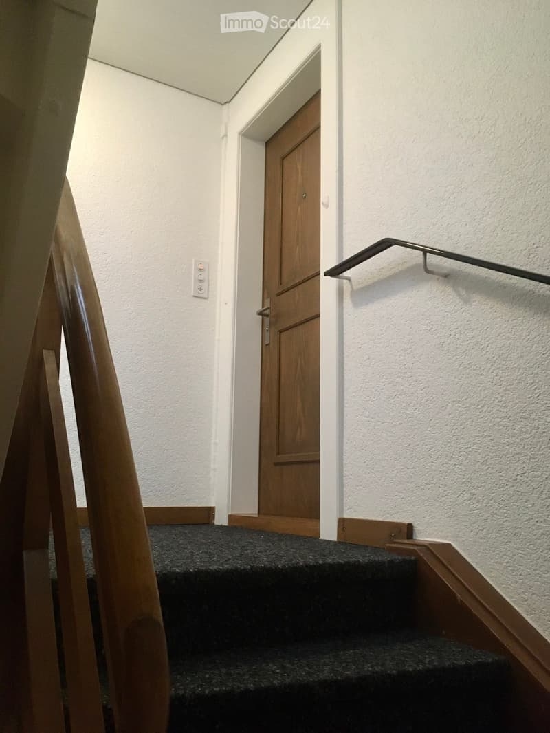 A narrow hallway with a wooden door at the end, carpeted stairs, and a wooden handrail on the right side.