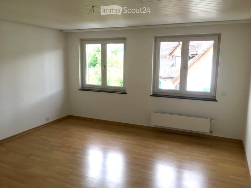 Empty room with wooden flooring, white walls, and two windows with blinds. Radiator visible under one window.