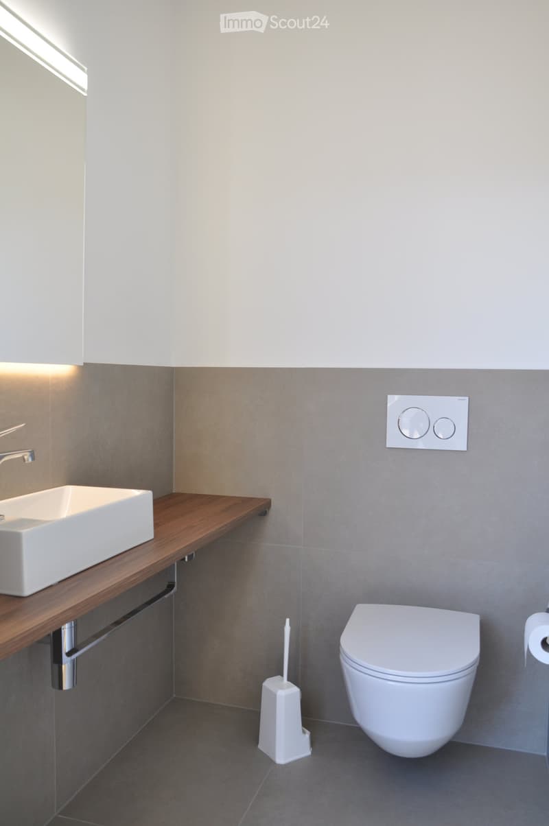 Modern bathroom with a white sink on a wooden countertop, a toilet, a toilet brush holder, and a light switch on the wall.