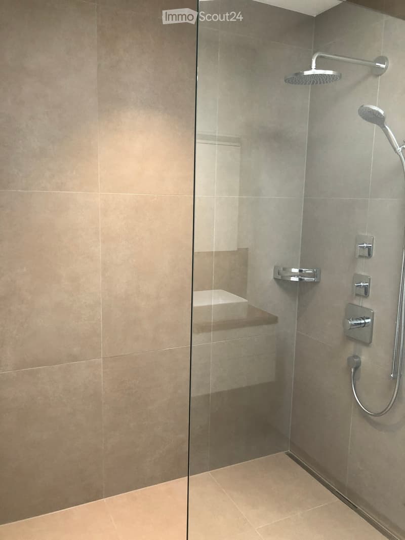 Modern shower area with glass enclosure, multiple showerheads, and tiled walls and floor.