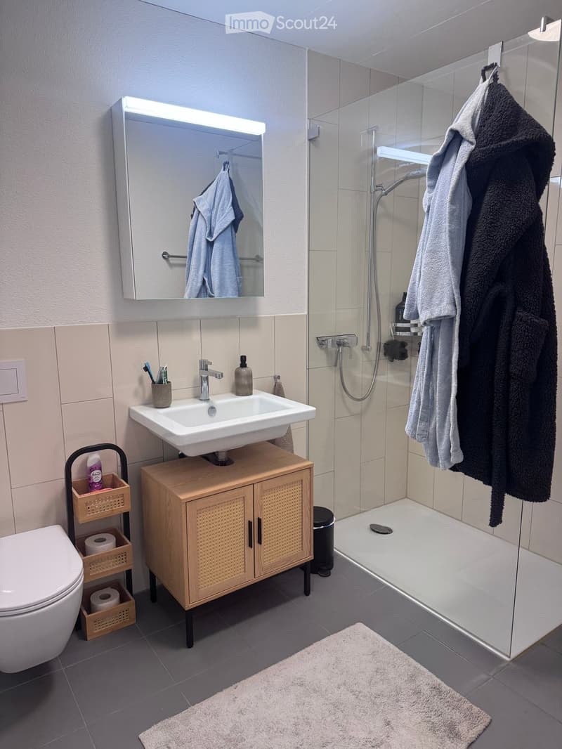 Modern bathroom with a white sink, wooden cabinet, large mirror, glass-enclosed shower, and neatly arranged towels and toiletries.
