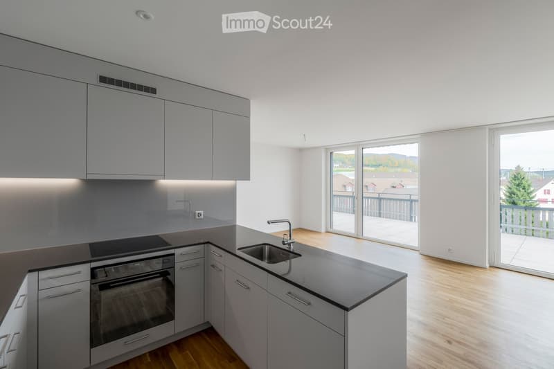 Modern kitchen with grey cabinets, black countertop, stainless steel sink, and built-in oven. Large windows and sliding doors lead to a balcony.