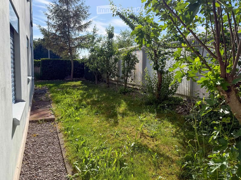 Garden area with gravel pathway, grass patch, and several trees and shrubs, bordered by a wooden fence.